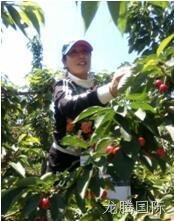 徐州龙腾国际化工科技开发有限公司