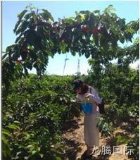 徐州龙腾国际化工科技开发有限公司